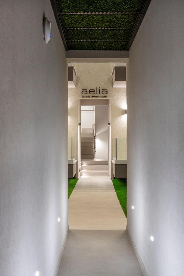 Aelia Seaside Luxury Suites Nea Karvali Eksteriør billede